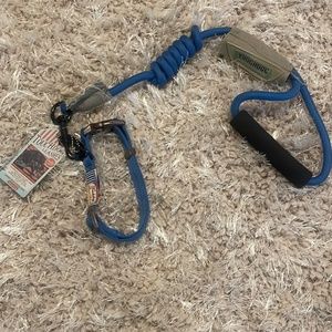 TouchDog Collar and leash